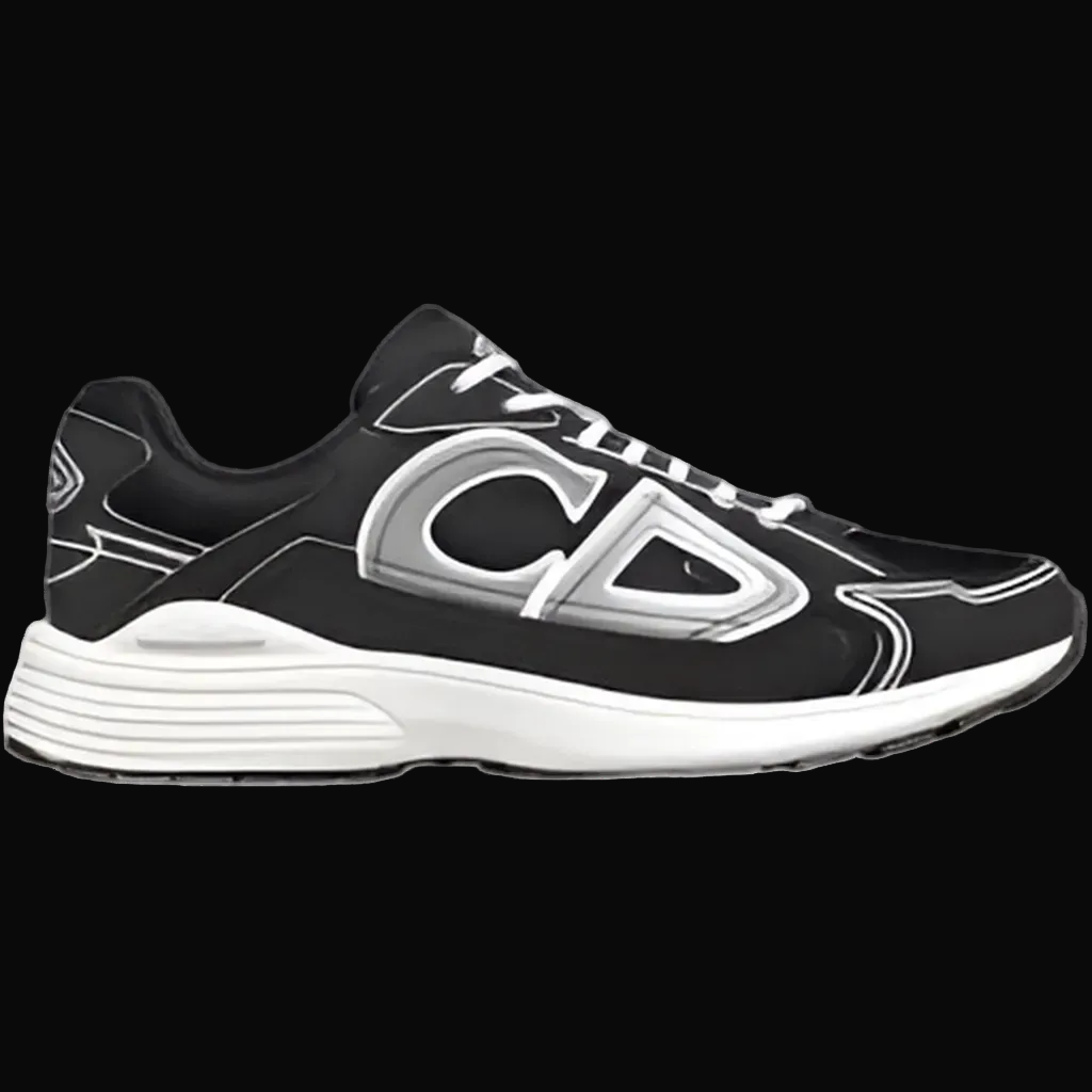 Dior b30 black & white