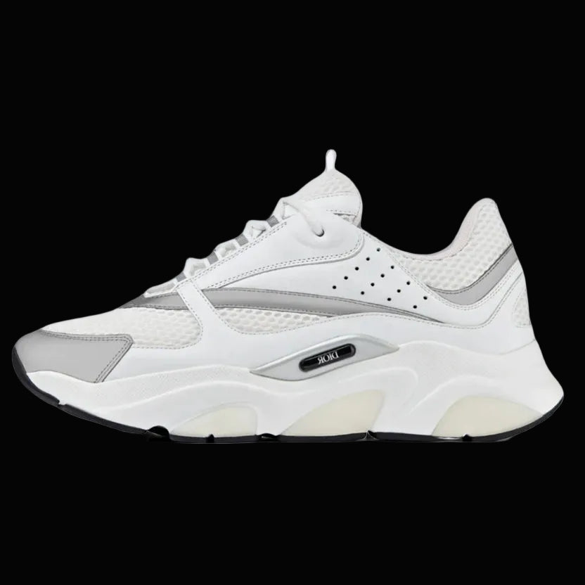 Dior B22 - White Silver